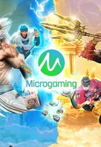 imgi_13_imgi_62_MICRO